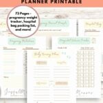 PREGNANCY PLANNER FOR PREGNANT MOMS