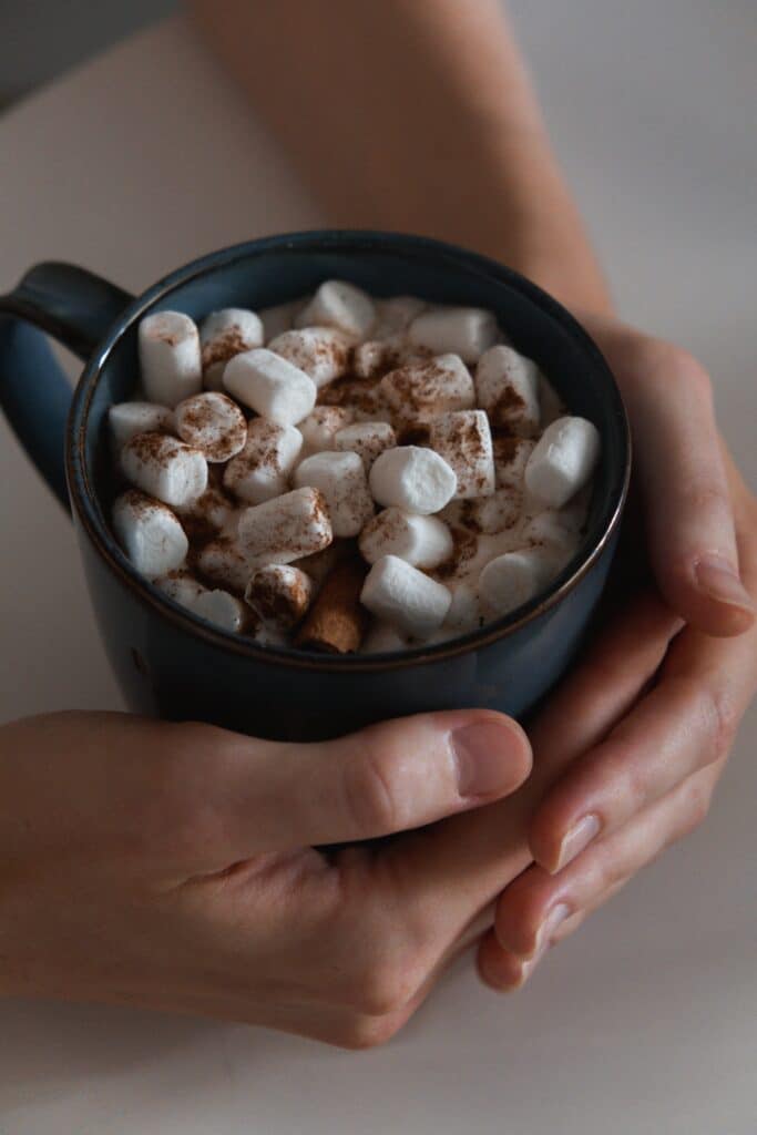 Hot Chocolate Cocoa Premix