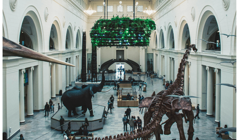Chicago Field Museum